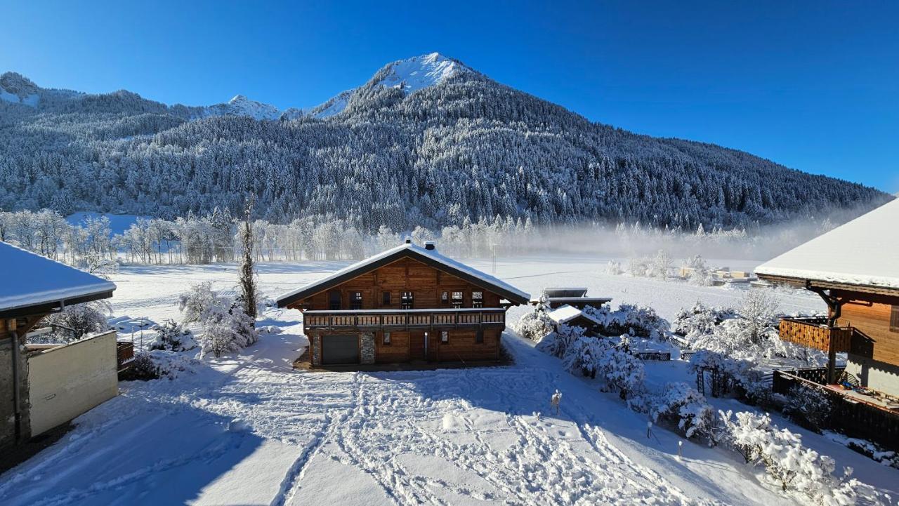 Demi-Chalet Vadel La Panthiaz 15 Pers 5 Chambres Abondance Zewnętrze zdjęcie